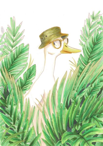 Dschungel-Ente