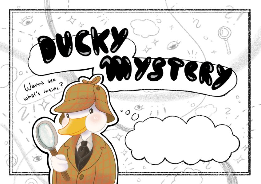 Ducky Mystery Box