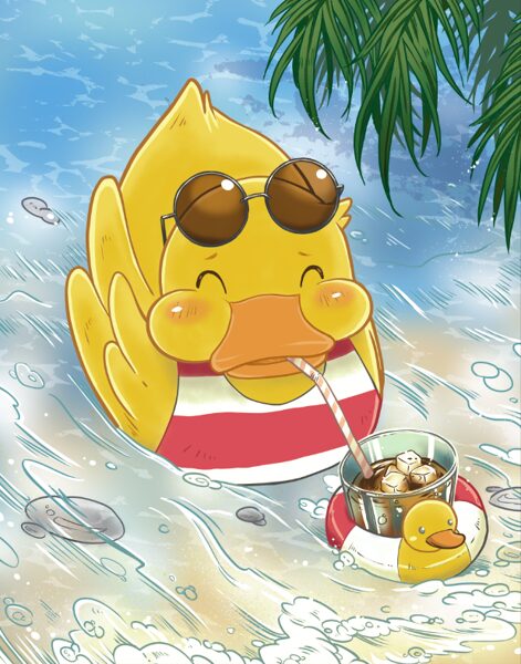 Summer Duck