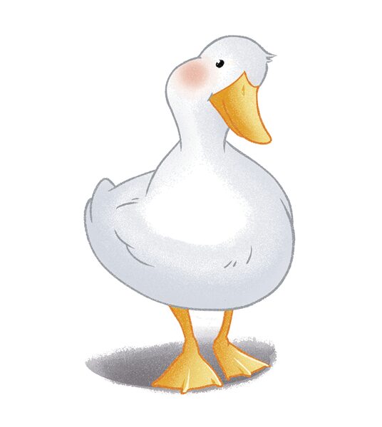 Cheeky Ducky